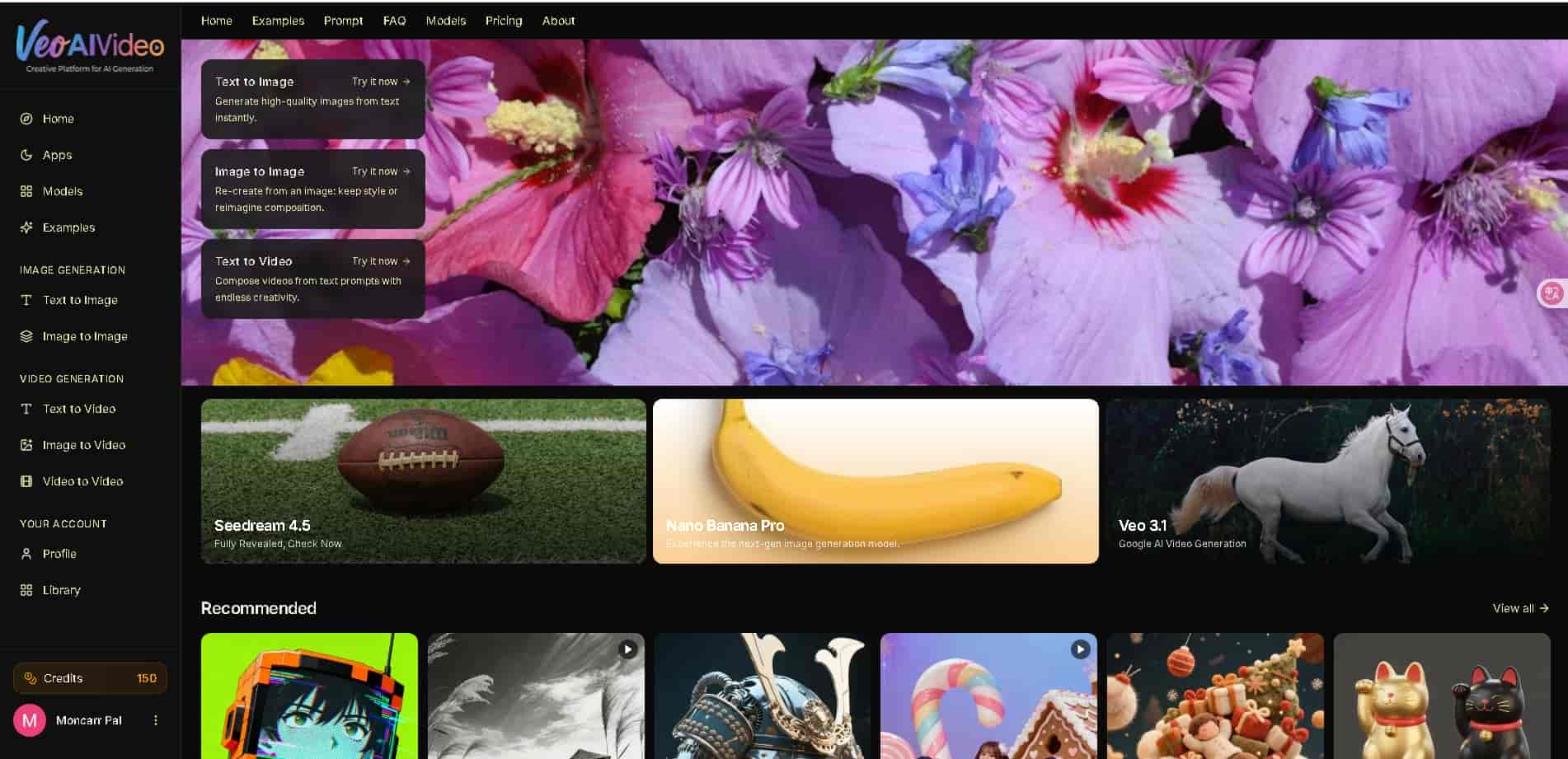 veo ai video screenshot
